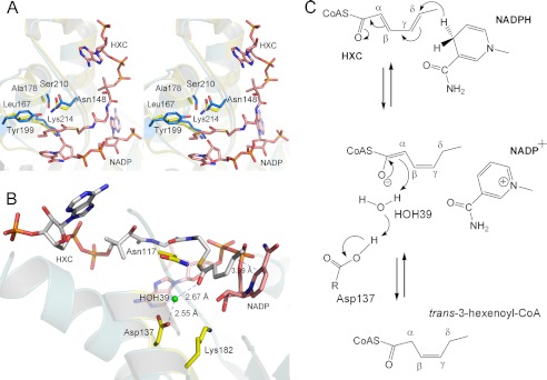 FIGURE 4.