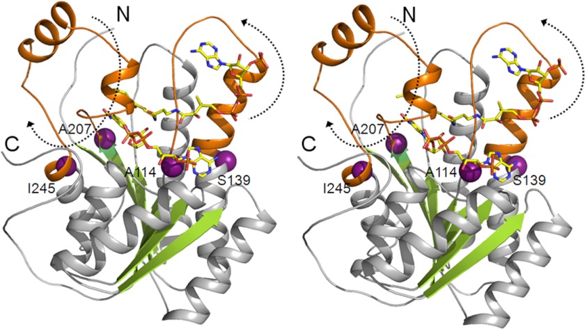 FIGURE 5.