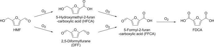 Figure 11.