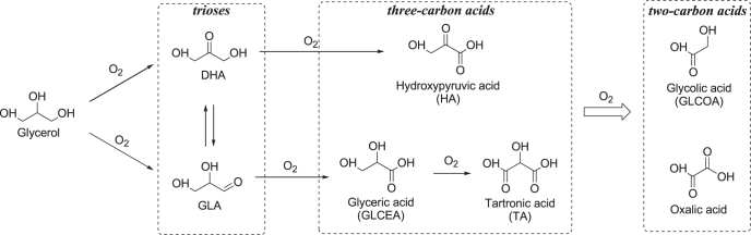 Figure 12.