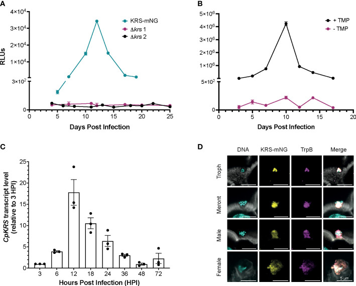 Figure 2