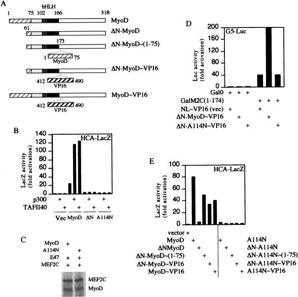 FIG. 4