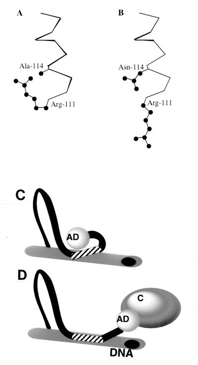 FIG. 5