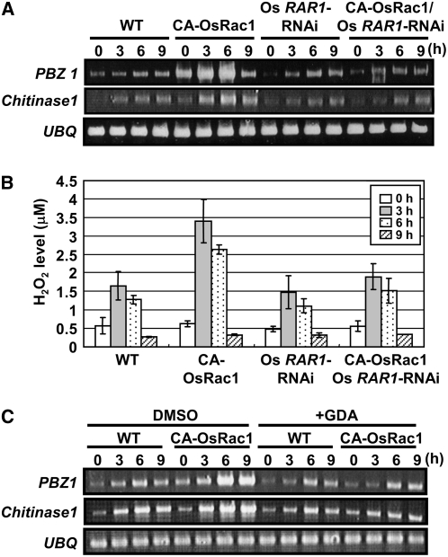 Figure 4.