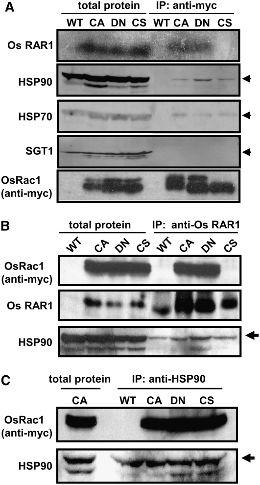 Figure 3.