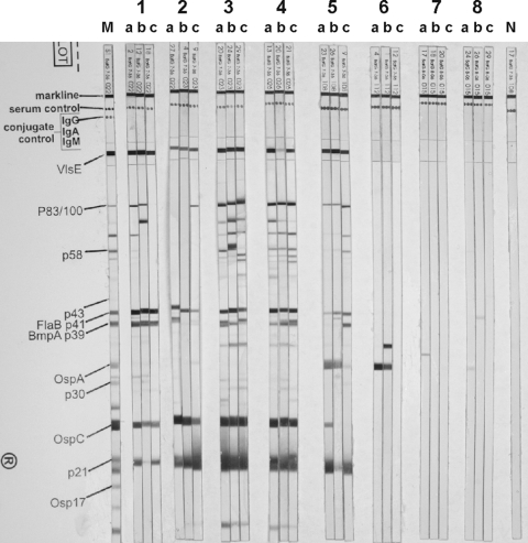 FIG. 2.