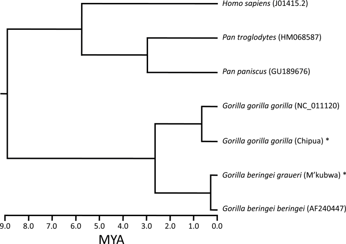 Figure 4.