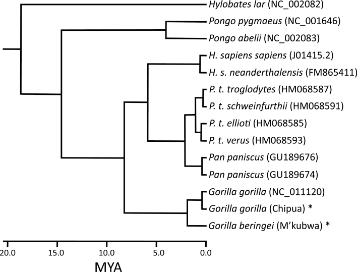 Figure 2.