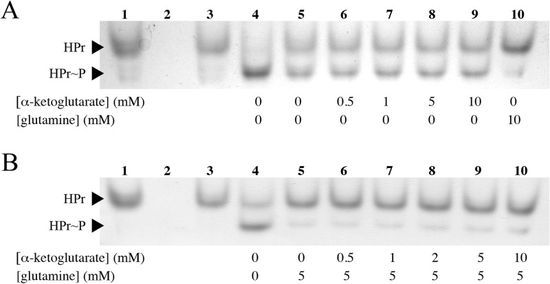 FIG 6