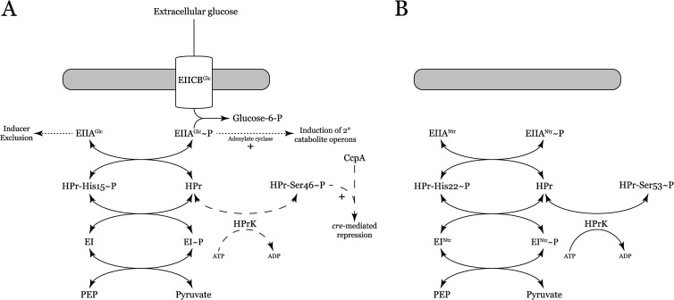 FIG 1