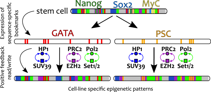 Figure 7.