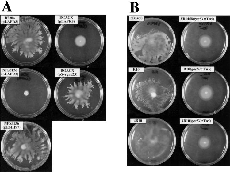 FIG. 1