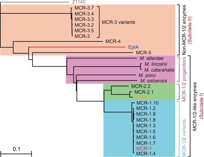 FIG 3 