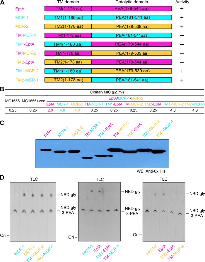 FIG 6 