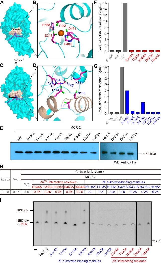 FIG 4 