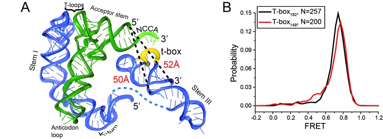 Figure 2—figure supplement 3.