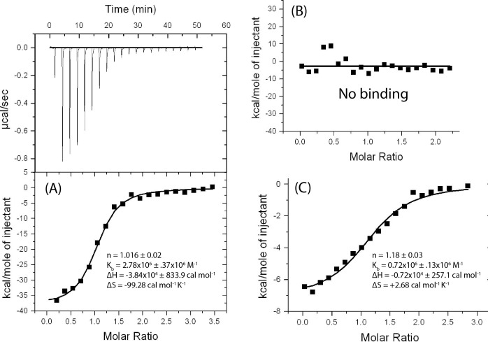 Figure 1—figure supplement 2.