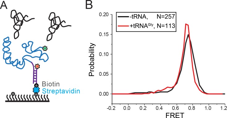 Figure 3—figure supplement 1.