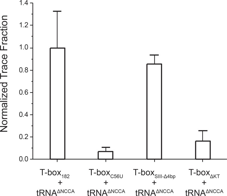 Figure 6—figure supplement 4.