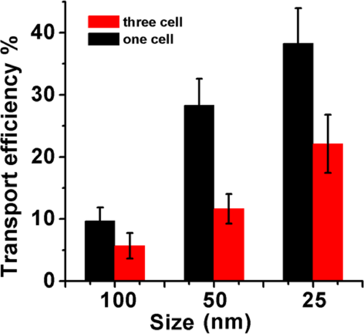 Figure 6.