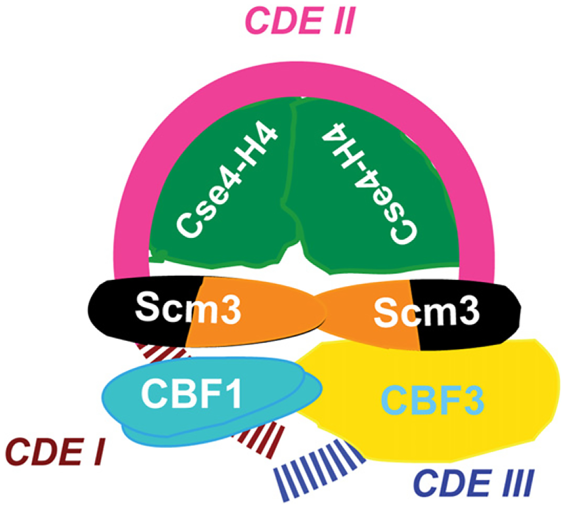 Figure 7.