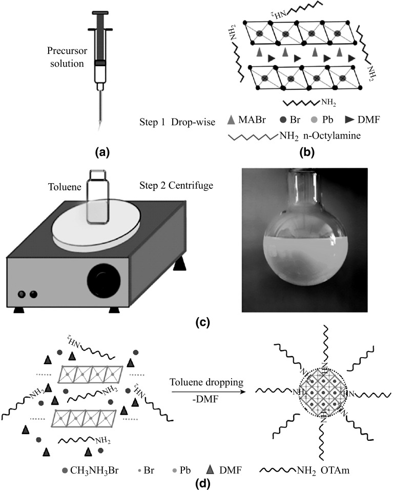 Fig. 2