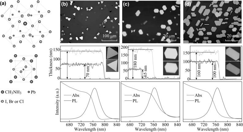 Fig. 8