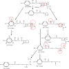 Scheme 6