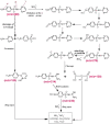 Scheme 5