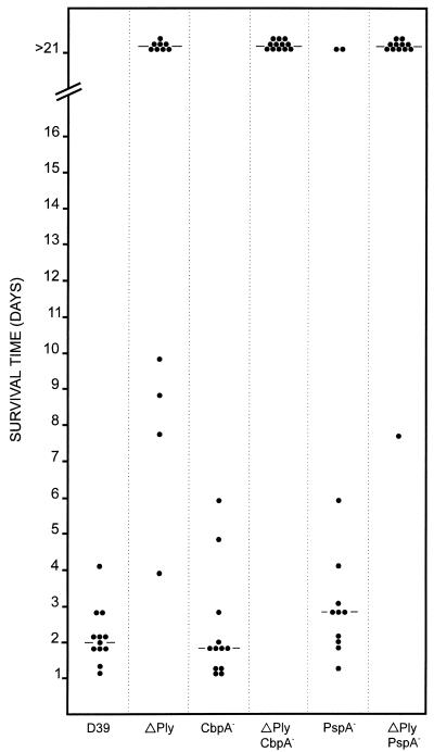 FIG. 5