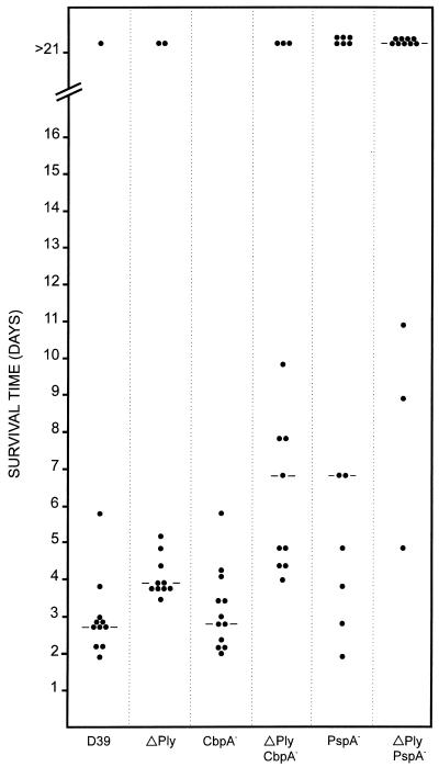 FIG. 7