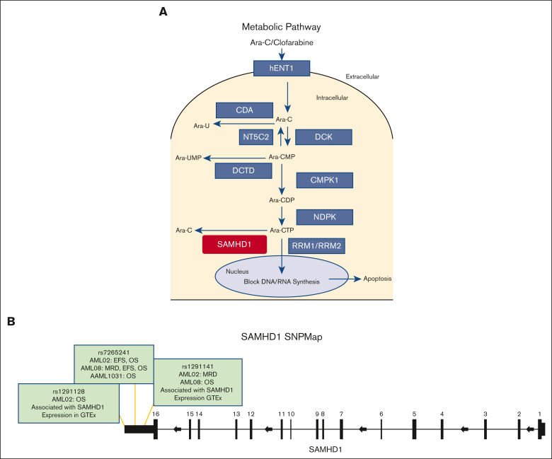 Figure 1.