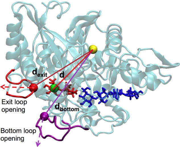 FIGURE 4.