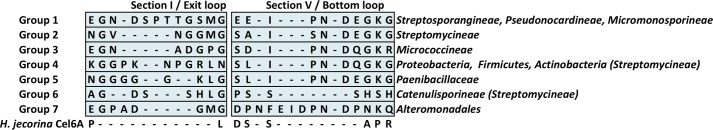 FIGURE 11.