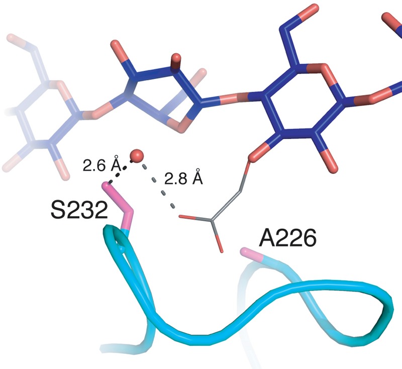 FIGURE 10.