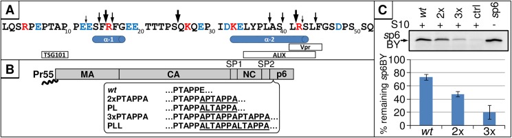 Fig 8