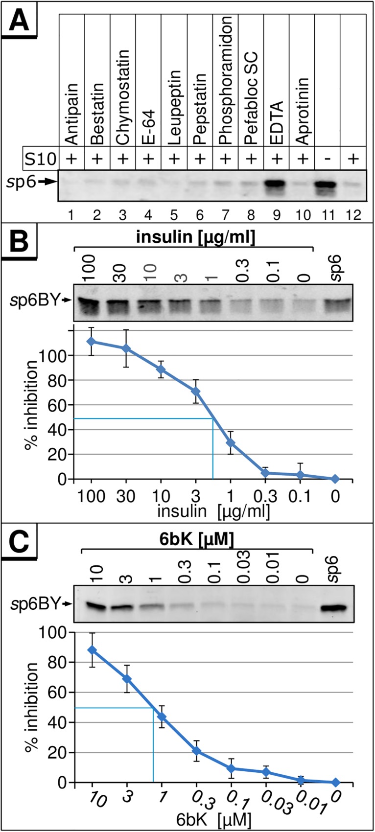 Fig 5