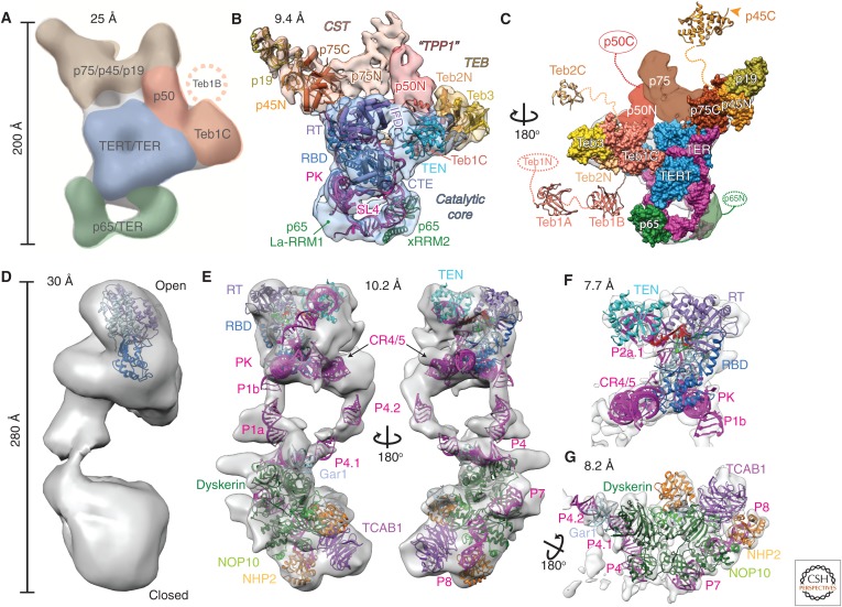 Figure 4.