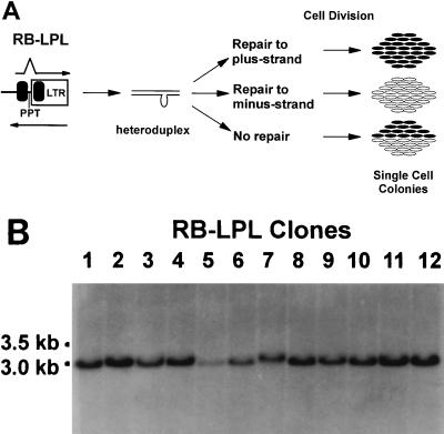 FIG. 4