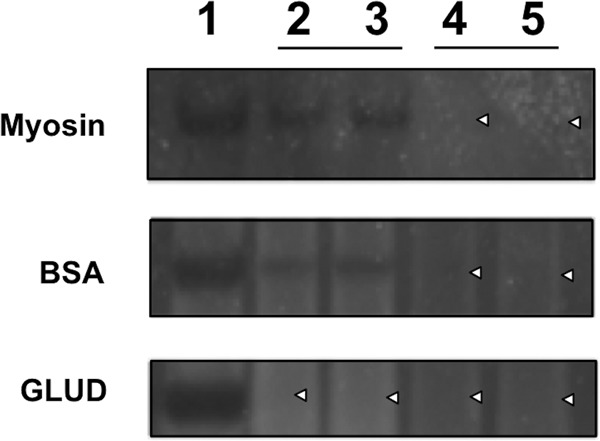 FIG 4