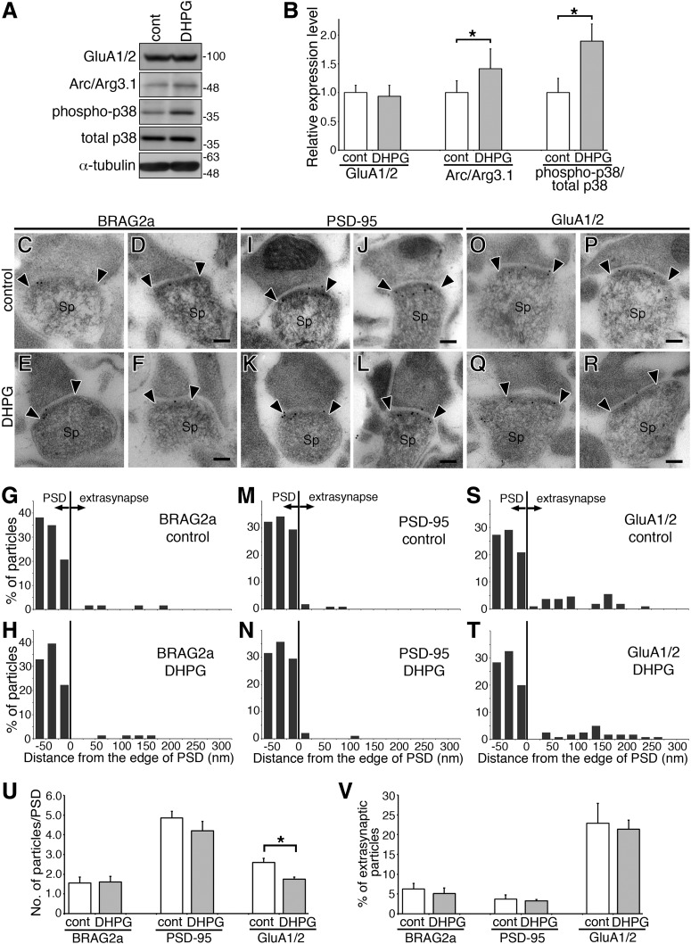 Figure 12.