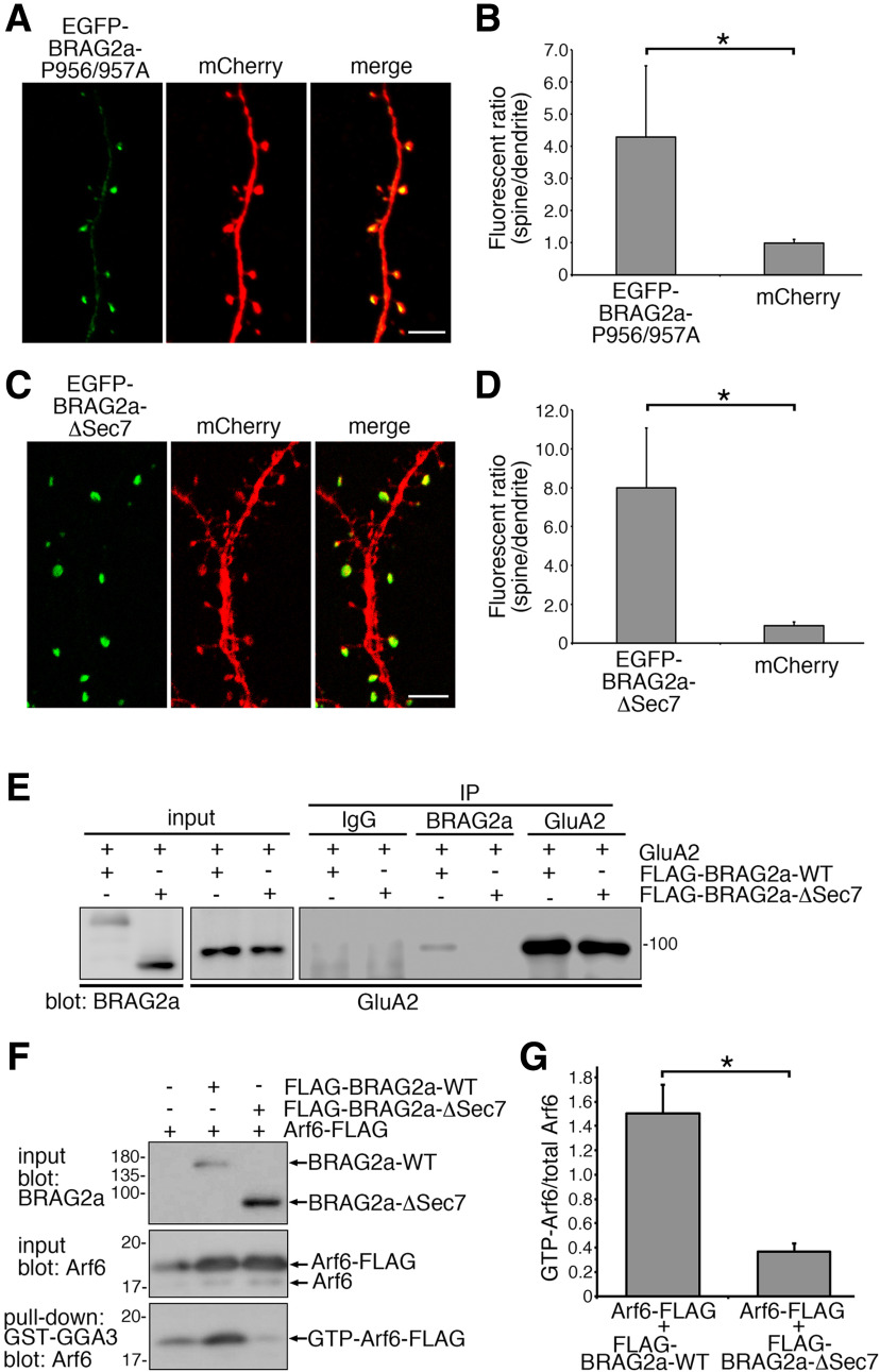 Figure 10.