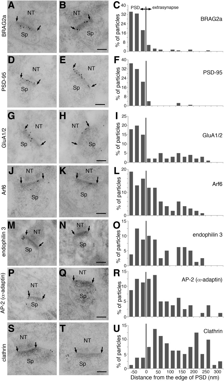 Figure 11.