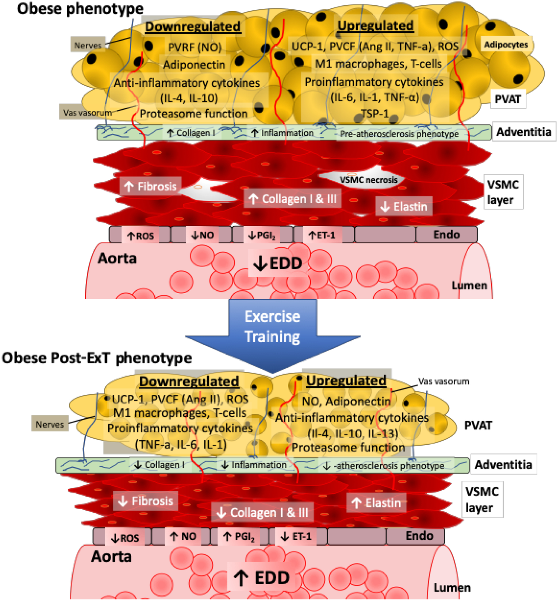 Fig 1.