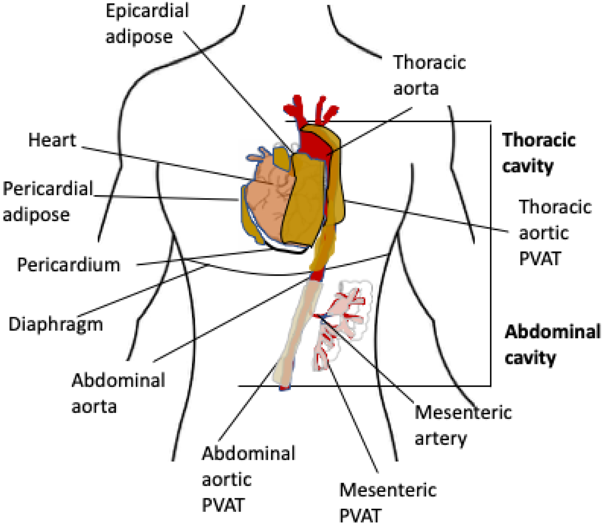 Fig 2.