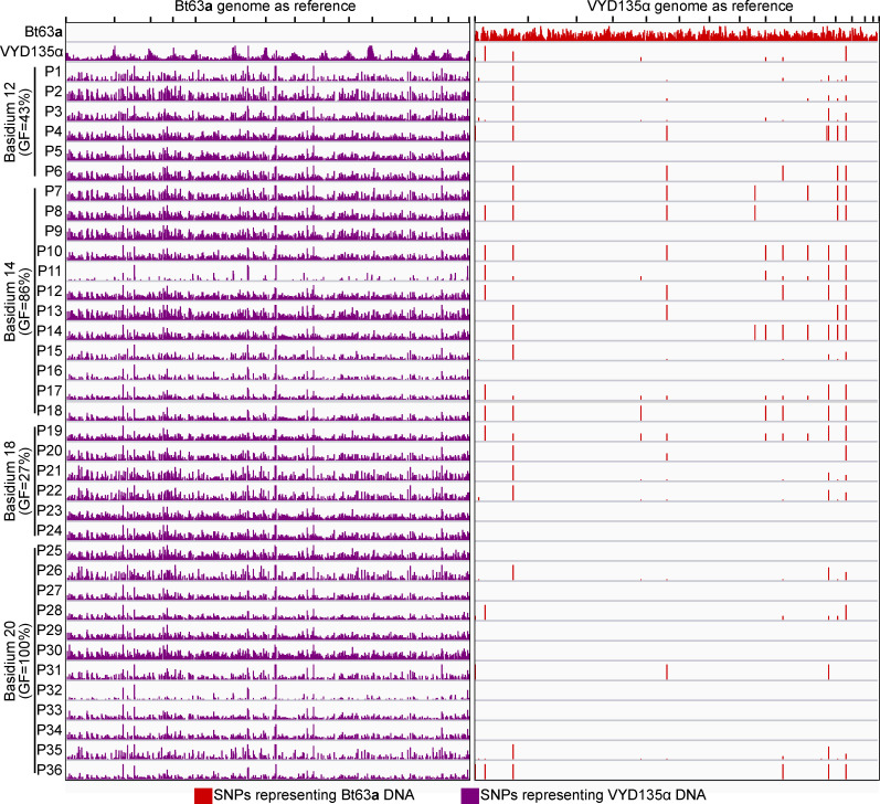 Figure 3—figure supplement 3.