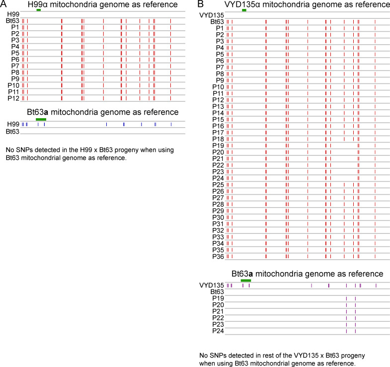 Figure 3—figure supplement 4.