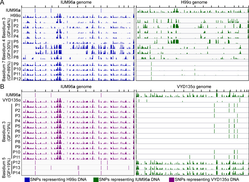 Figure 3—figure supplement 6.