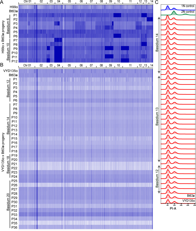 Figure 3—figure supplement 5.