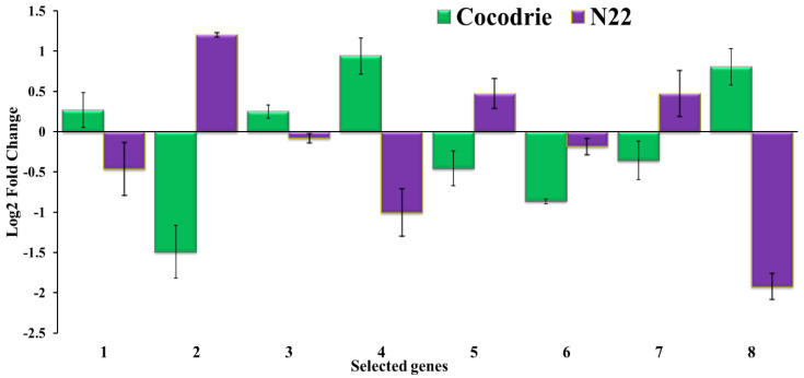 Figure 5